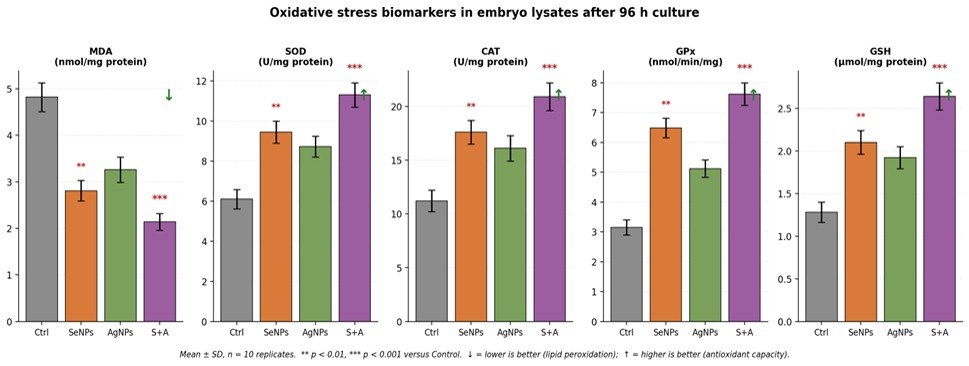 Fig. 4: Panel display of the five oxidative-stress biomarkers across groups, demonstrating dose-complementary antioxidant reinforcement.