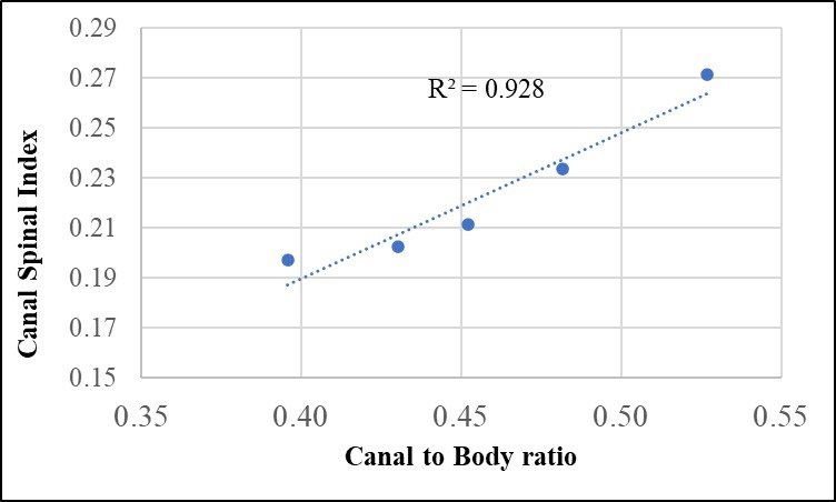 Fig. 7: Scatter plot demonstrating the strong, statistically significant positive correlation (R2= 0.92) between the Canal-to-Body Ratio and the Canal Spinal Index across lumbar levels L1–L5.