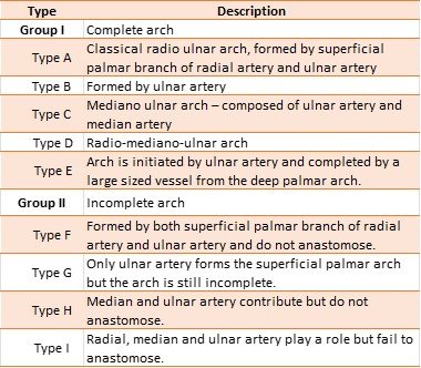 Coleman and Anson’s classification of Superficial Palmar Arch [1].
