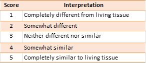 A structured five-point Likert rating scale