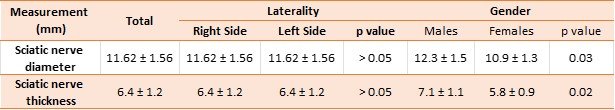 Table 1: MRI measurements of sciatic nerve diameter and thickness (Mean ± SD) according to gender and laterality.