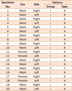 Table 2: Distribution of Superficial Palmar Arch patterns.