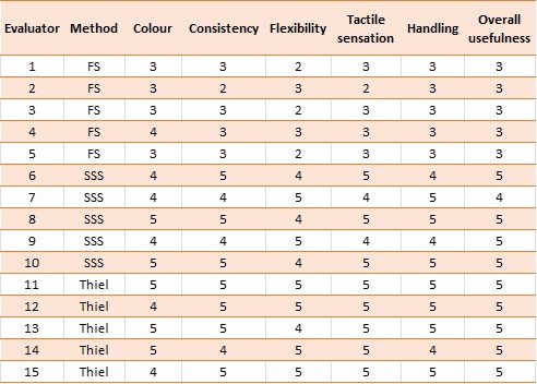 Table 2: Individual Evaluator Scores.