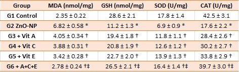 Table 3: Ovarian tissue oxidative stress markers and antioxidant enzyme activities (mean ± SEM, n = 8).