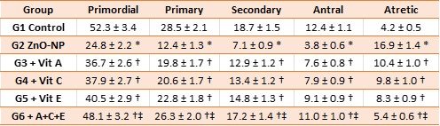 Table 5: Mean ovarian follicle counts per representative histological section (mean ± SEM, n = 8).