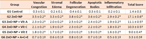 Table 6: Semi-quantitative histopathological lesion scores (0–4 scale, mean ± SEM, n = 8; inter-observer κ = 0.88).