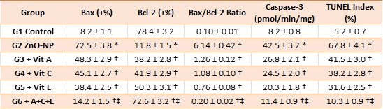 Table 7: Immunohistochemical apoptotic markers and caspase-3 enzymatic activity (mean ± SEM, n = 8).