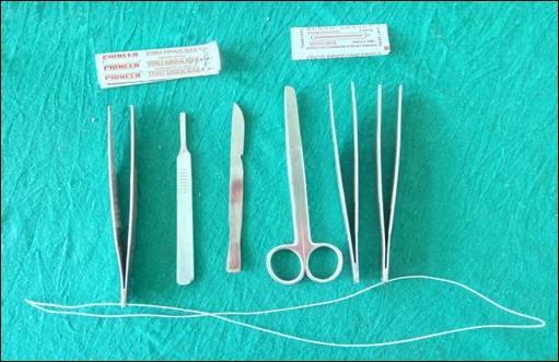 Fig. 1: Dissection Instruments.