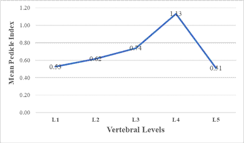 Fig. 3: Mean Pedicle Index values across the five lumbar vertebral levels, demonstrating a distinct structural peak at L4.