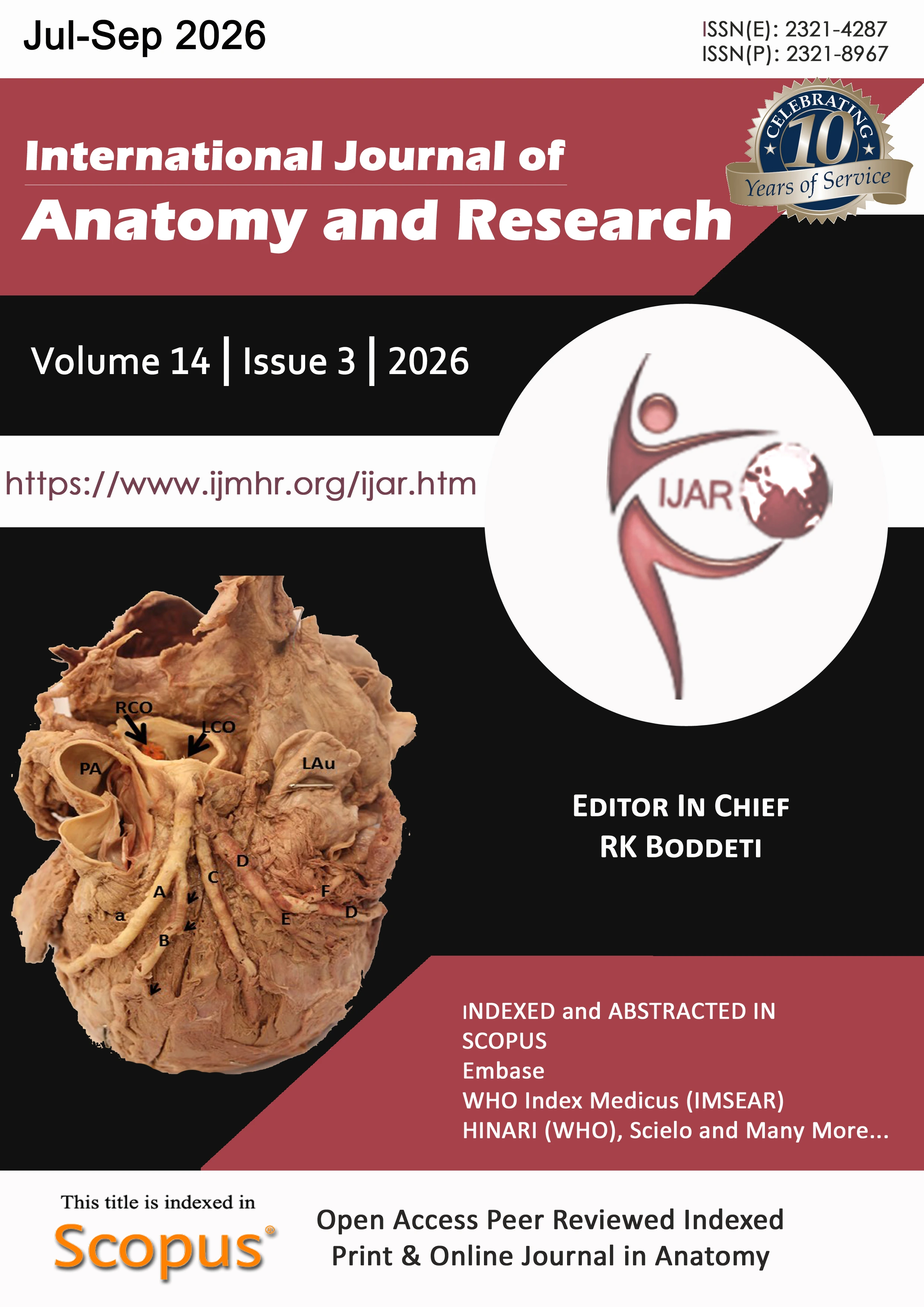 Cover of International Journal of Anatomy and Research, Volume 14, Issue 2